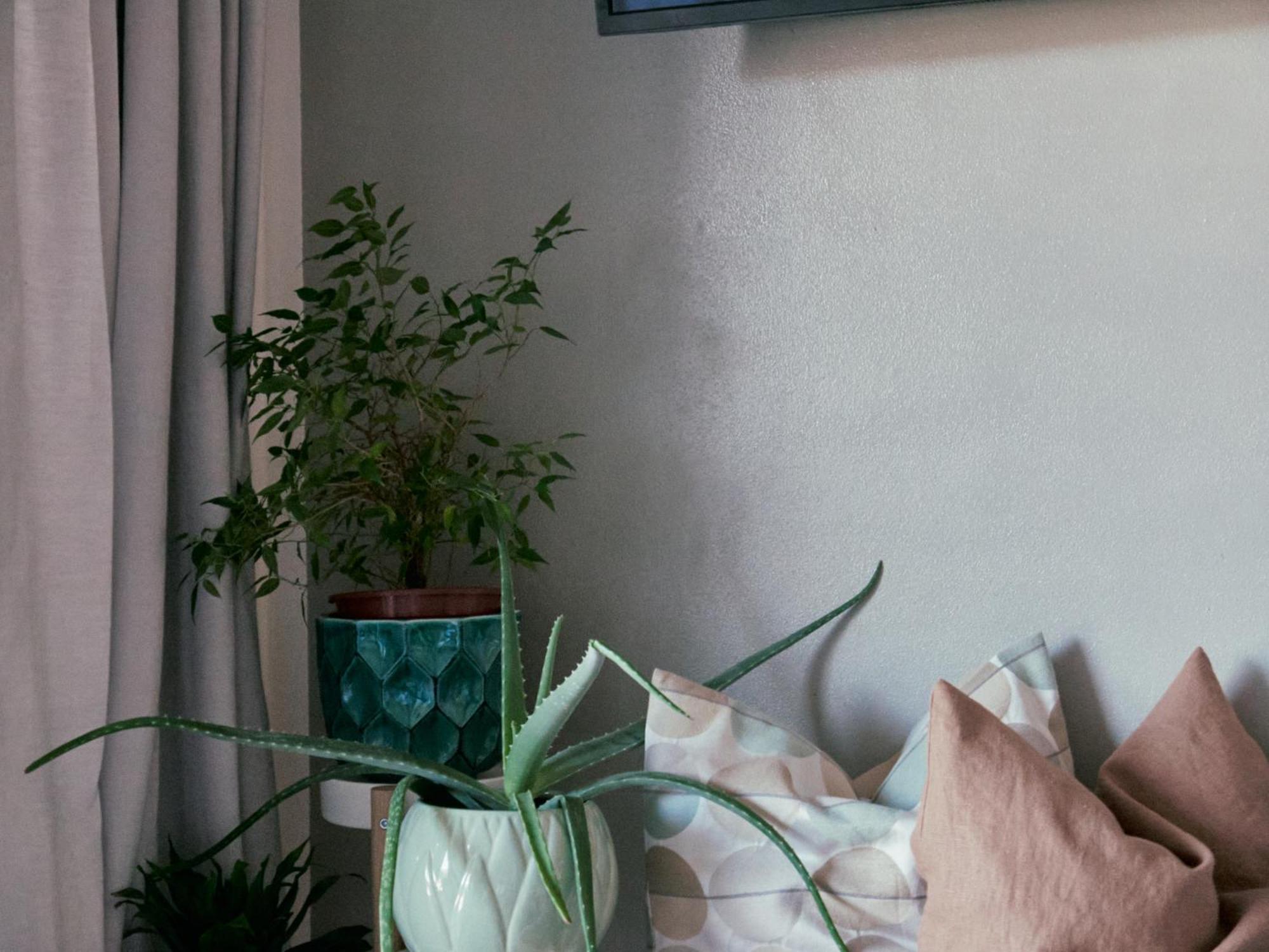 Apartment Laura Brixen Vahrn Ngoại thất bức ảnh